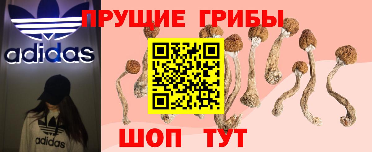 Псилоцибиновые грибы MAGIC MUSHROOMS Артёмовский
